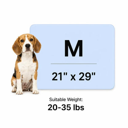 🐾 Keep Your Pet Cool Without Ice, Water, or Plugs
