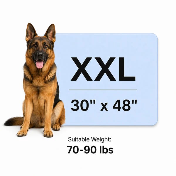 🐾 Keep Your Pet Cool Without Ice, Water, or Plugs