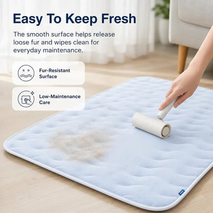 🐾 Keep Your Pet Cool Without Ice, Water, or Plugs