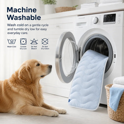 🐾 Keep Your Pet Cool Without Ice, Water, or Plugs
