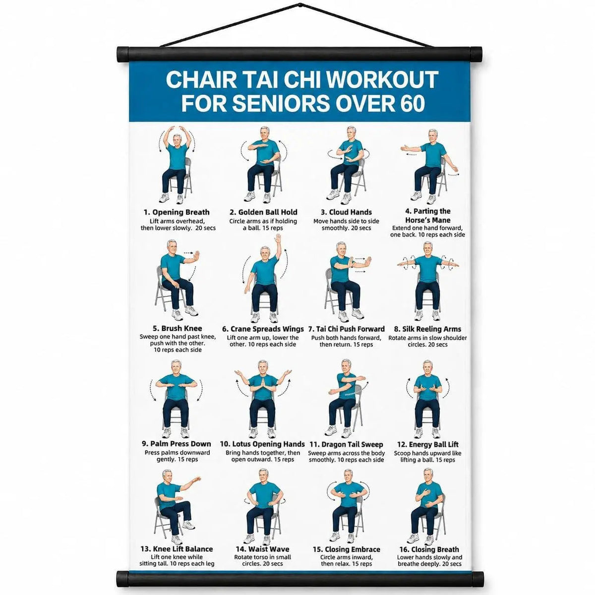 Tai chi chair workout chart for seniors (16 x 24 inches)-Seated & Standing Exercises