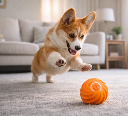 🐶Automatic Interactive Pet Ball for Indoor Exercise & Boredom Relief🐶