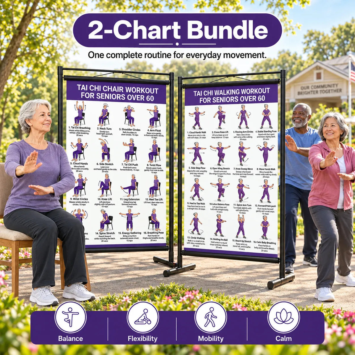 Tai chi chair workout chart for seniors (16 x 24 inches)-Seated & Standing Exercises