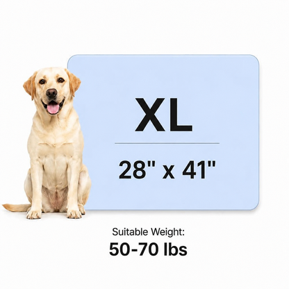 🐾 Keep Your Pet Cool Without Ice, Water, or Plugs