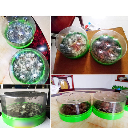 Reusable Fly Trap — Chemical-Free, No Electricity Needed