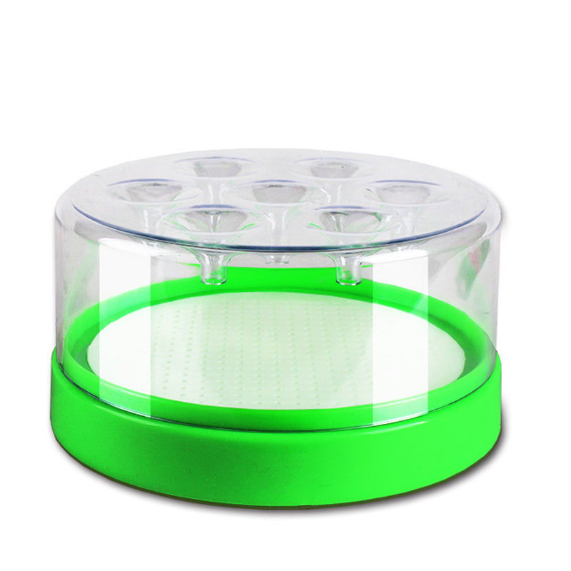 Reusable Fly Trap — Chemical-Free, No Electricity Needed