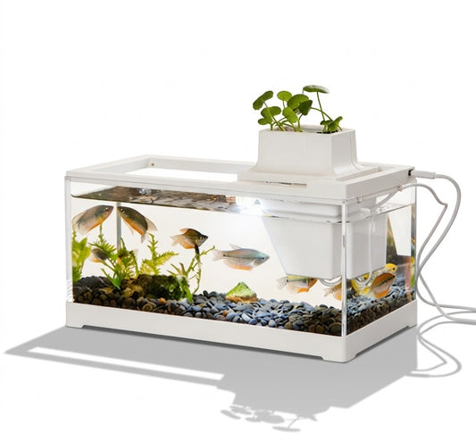 Small ornamental fish tank
